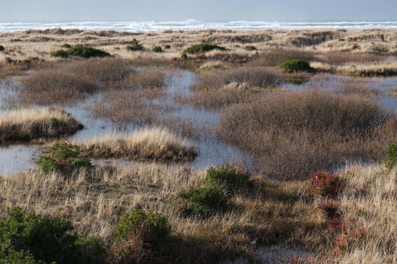 Tidal House 3 Villa Ocean Shores Buitenkant foto